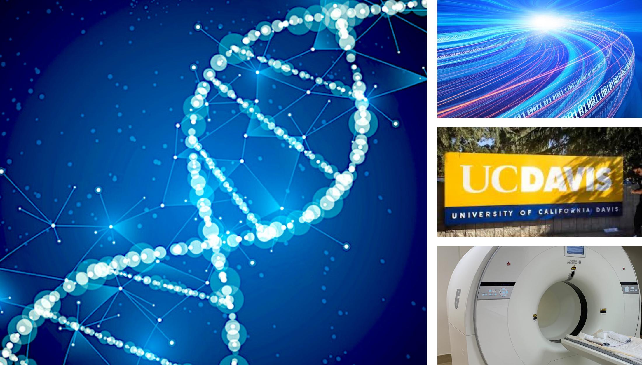 Center for Somatic Cell Genome Editing